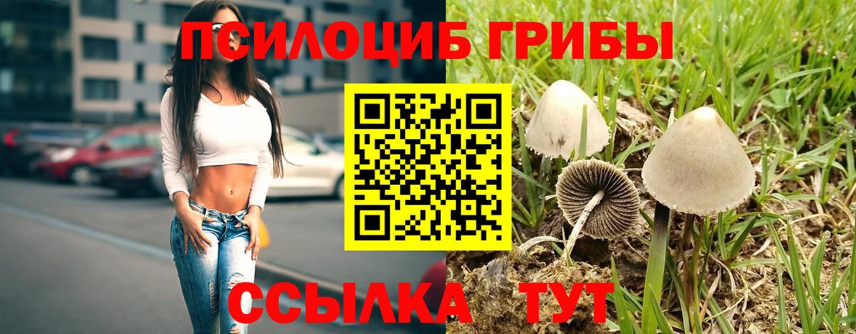Псилоцибиновые грибы MAGIC MUSHROOMS  Псилоцибиновые грибы мухоморы  Нарткала  Вход с VPN 